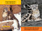 In the Desert (National Geographic Kids Readers, Pre-Reader) by Michaela Weglinski, National Geographic Kids, 9781426338342