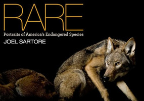 National Geographic Rare (Portraits of America's Endangered Species) by Joel Sartore, 9781426205750