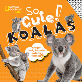 So Cute! Koalas by Crispin Boyer, 9781426335273