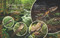 Everything Spring by Jill Esbaum, 9781426306075