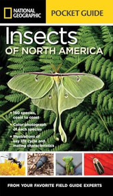 National Geographic Pocket Guide to Insects of North America (From Your Favorite Field Guide Experts) by Arthur V. Evans, 9781426216473