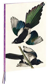 teNeues - A4 Notebook: Magpies by James Audubon, Hardcover - 230 Dot-Grid Pages with Exposed Lay Flat Binding, Three Ribbon Markers by teNeues, 9781623259327