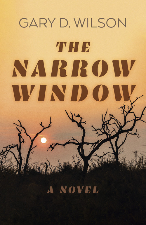 The Narrow Window (A Novel) by Gary D. Wilson, 9781803414621