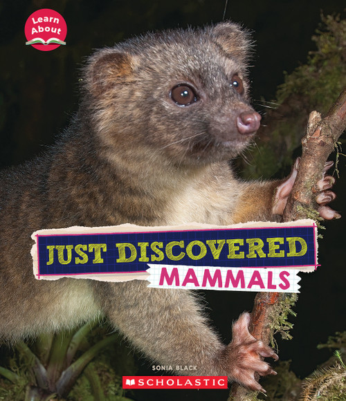 Just Discovered Mammals (Learn About: Animals) by Sonia W. Black, 9781339020297