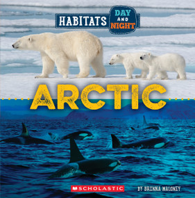 Arctic (Wild World: Habitats Day and Night) - 9781339020709 by Brenna Maloney, 9781339020709