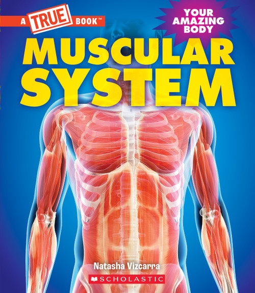 Muscular System (A True Book: Your Amazing Body) by Natasha Vizcarra, 9781339020990
