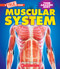 Muscular System (A True Book: Your Amazing Body) by Natasha Vizcarra, 9781339020990