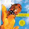 Bugs (Exploring the World of Crawly Critters) - 9781486726301 by Shirley Raines, Curt Hart