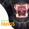 Fangs - 9781486726493 by Katrine Crow