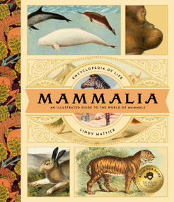 Mammalia (An Illustrated Guide to the World of Mammals) by Lindy Mattice, 9781638191285