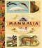 Mammalia (An Illustrated Guide to the World of Mammals) by Lindy Mattice, 9781638191285