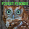 Forest Friends - 9781486724055 by Curt Hart