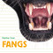 Fangs - 9781486724178 by Katrine Crow