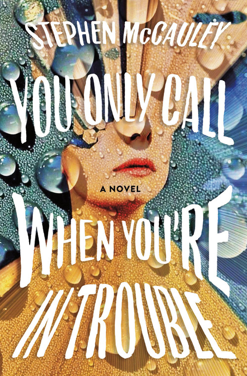 You Only Call When You're in Trouble (A Novel) by Stephen McCauley, 9781250296795