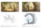 The Art of Octopath Traveler: 2016-2020 by Square Enix, Naoki Ikushima, 9781506735658