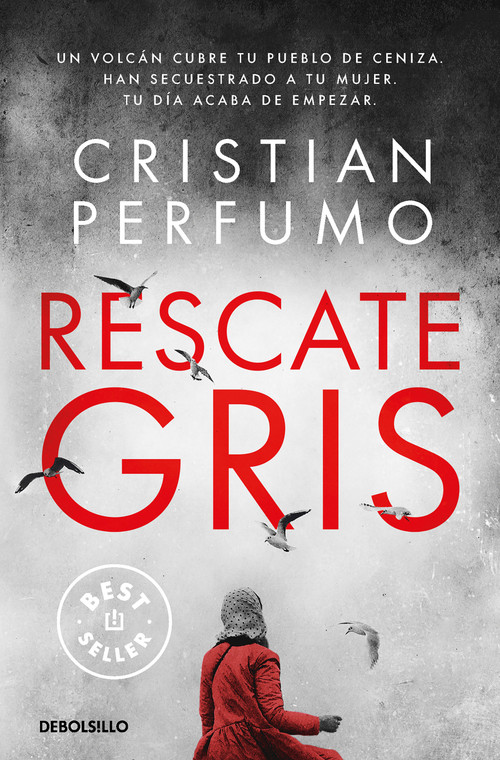 Rescate gris / Gray Rescue (Spanish Edition) by Cristian Perfumo, 9788466370042