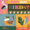How Many Birds? by Marcos Farina, Marcos Farina, Little Gestalten, 9783967047462