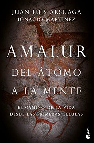 Amalur (Spanish Edition) by Ignacio Martínez, 9786075693569