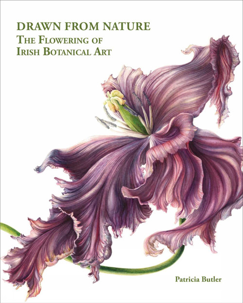 Drawn From Nature (The Flowering of Irish Botanical Art) by Patricia Butler, 9781788842365