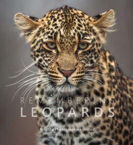 Remembering Leopards by Margot Raggett, Wildlife Photographers United, 9781999643379