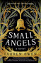 Small Angels (A Novel) - 9780593242223 by Lauren Owen, 9780593242223