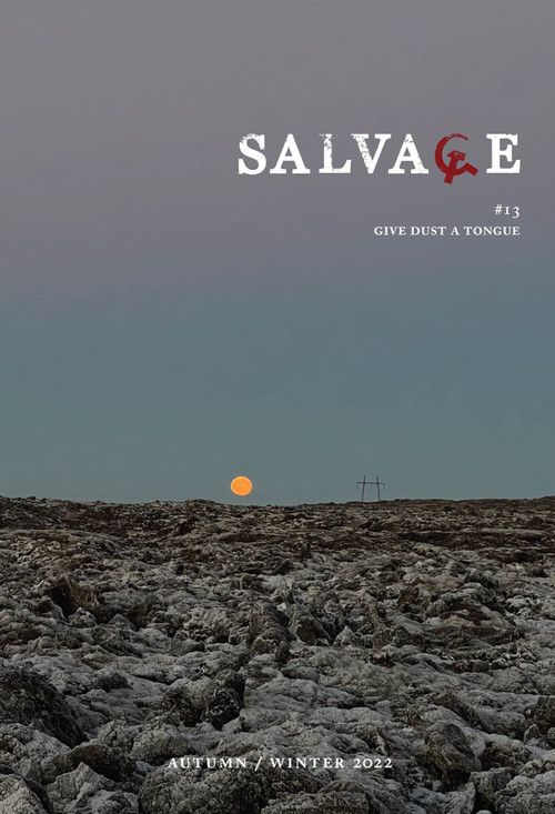 Salvage #13 (Give Dust a Tongue) by Salvage, 9781804295236