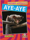 Aye-aye - 9781039810310 by Amy Culliford, 9781039810310