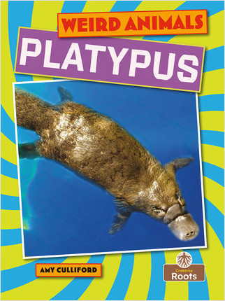 Platypus - 9781039809796 by Amy Culliford, 9781039809796