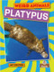 Platypus - 9781039809796 by Amy Culliford, 9781039809796