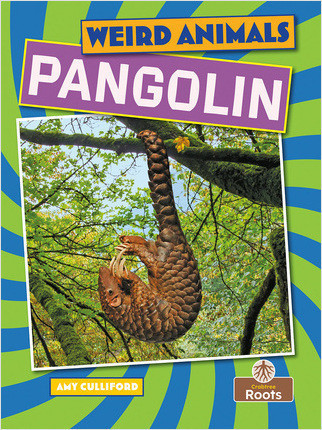 Pangolin - 9781039809826 by Amy Culliford, 9781039809826