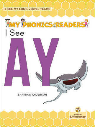I See AY by Shannon Anderson, 9781039697065