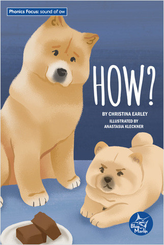How? by Christina Earley, Anastasia Kleckner, 9798887352947