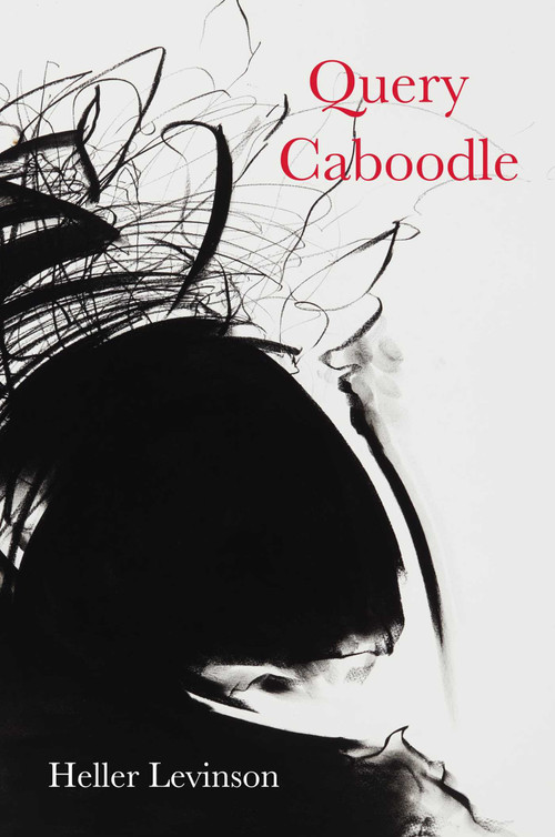 Query Caboodle by Heller Levinson, 9798988085218