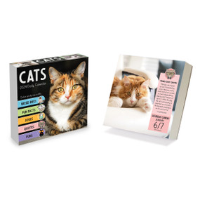 2024 Cat A Day Daily Desktop Calendar by TF Publishing, 9781639246007