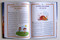 101 Cuentos cortos extraordinarios / 101 Amazing Short Stories (Spanish Edition) by Varios autores, 9789877977561