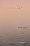 After That (Poems) by Lorna Crozier, 9780771004285