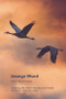 Jesmyn Ward (New Critical Essays) - 9781399510622 by Sheri-Marie Harrison, Arin Keeble, Maria Elena Torres-Quevedo, 9781399510622
