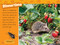 Animal All-Stars Collection (National Geographic Kids Readers, Level 1) by National Geographic Kids, 9781426376832