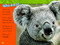Animal All-Stars Collection (National Geographic Kids Readers, Level 1) by National Geographic Kids, 9781426376832