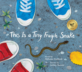 This Is a Tiny Fragile Snake by Nicholas Ruddock, Ashley Barron, 9781773067841