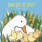 How Big Is Love? Padded Board Book ((A Heartwarming Story of Parental Love in Rhyming Text - For Babies and Toddlers)) - 9781536232561 by Emma Dodd, Emma Dodd, 9781536232561