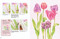 Anyone Can Paint Watercolour Flowers (6 easy step-by-step projects to get you started) by Julie King, 9781800921511