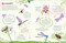 Ultimate Sticker Book Garden Bugs (New Edition with More than 250 Stickers) by DK, 9780744080230