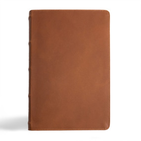 CSB Men's Daily Bible, Brown Genuine Leather by Robert Wolgemuth, CSB Bibles by Holman, 9781430094104