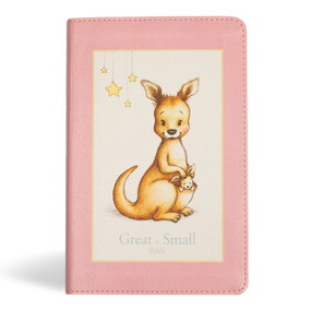 KJV Great and Small Bible, Pink LeatherTouch (A Keepsake Bible for Babies) by Holman Bible Publishers, 9781430094739