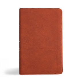 NASB Personal Size Bible, Burnt Sienna LeatherTouch by Holman Bible Publishers, 9781430094807