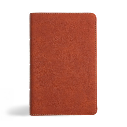 NASB Personal Size Bible, Burnt Sienna LeatherTouch by Holman Bible Publishers, 9781430094807