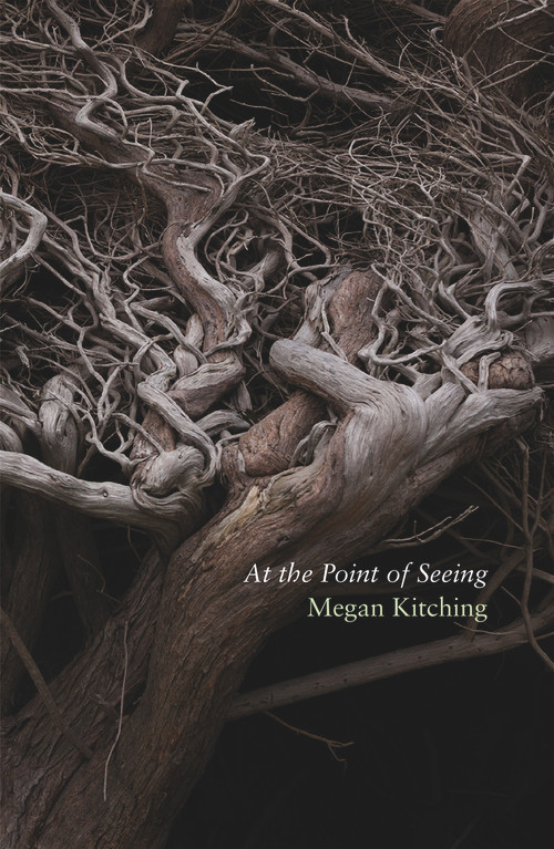 At the Point of Seeing by Megan Kitching, 9781990048562