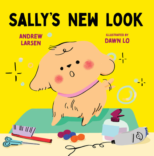 Sally's New Look by Andrew Larsen, Dawn Lo, 9781459836914