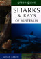 Green Guide: Sharks of Australia by Kelvin Aitken, 9781864363180